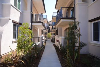 Yolo Apartments exterior building pathway