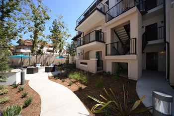 Yolo Apartments exterior building pathway and lush landscaping