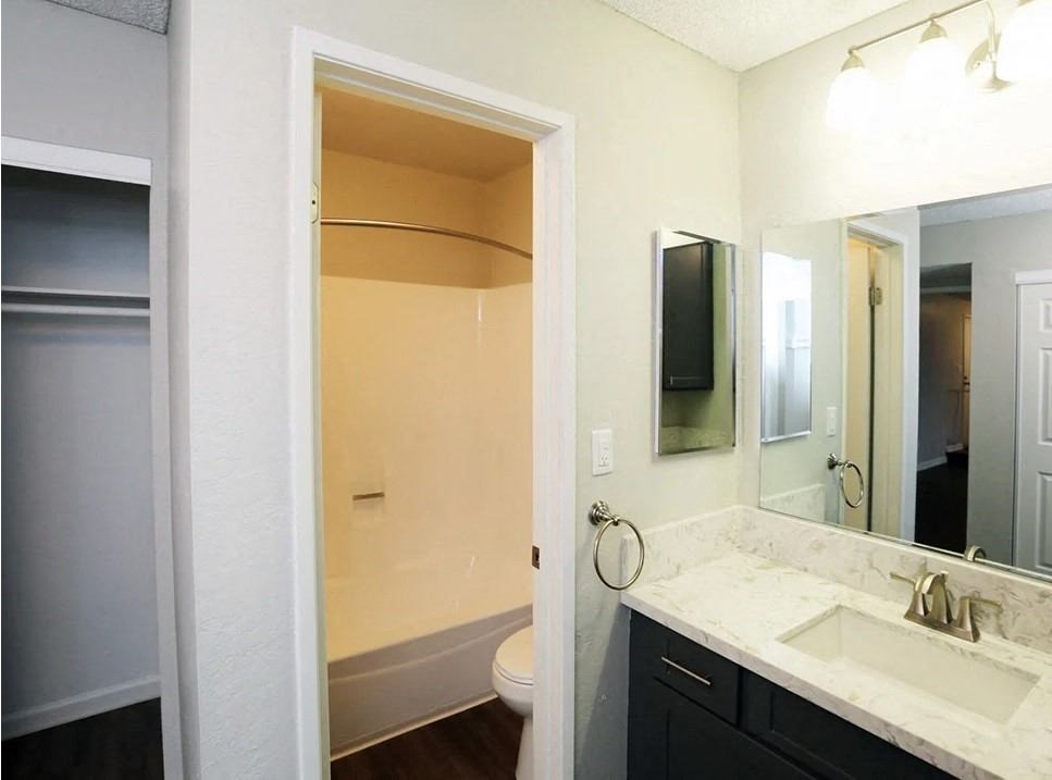 a bathroom with a mirror and a sink and a toilet