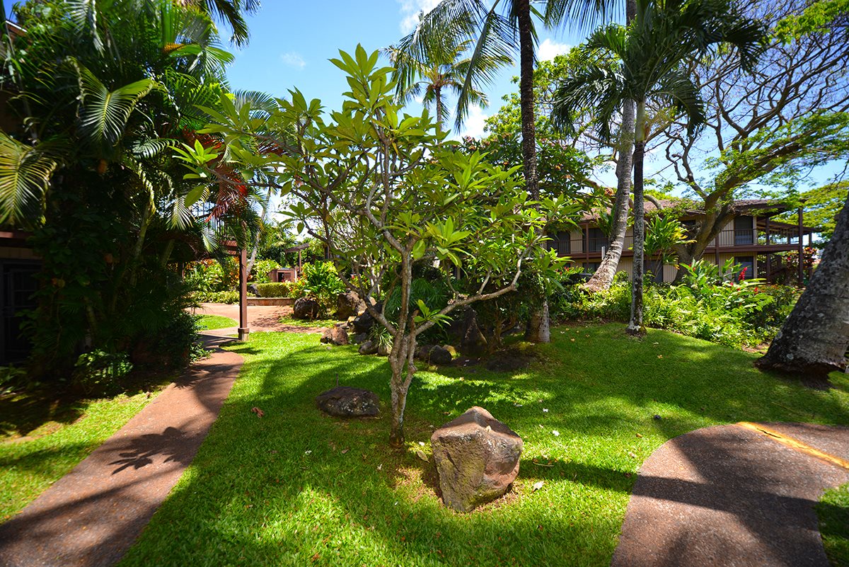 Coconut Inn garden Coconut Inn garden