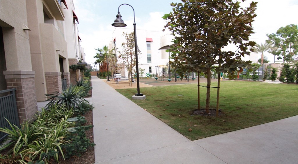 First Street - Walkway Grass Area