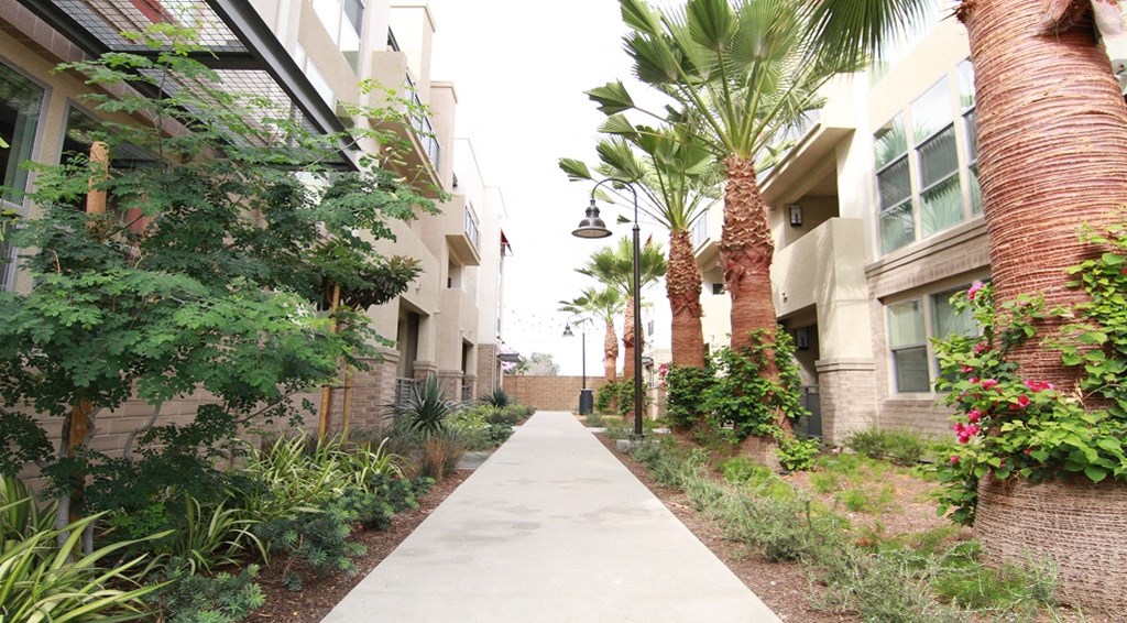 First Street - Walkway