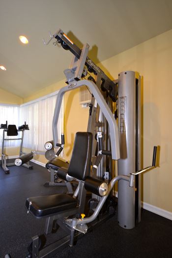 Tierra Del Sol fitness center weight machines