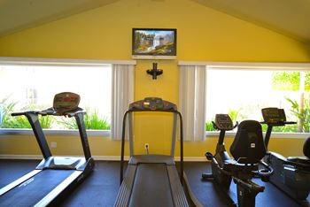 Tierra Del Sol fitness center treadmills and television