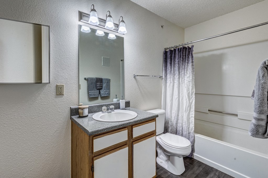 A bathroom with a sink, mirror, toilet, and bathtub.