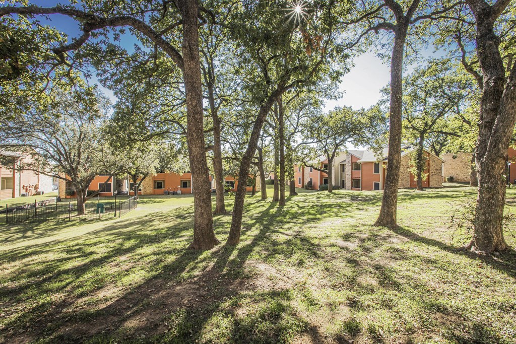 a park with trees and buildings in the background