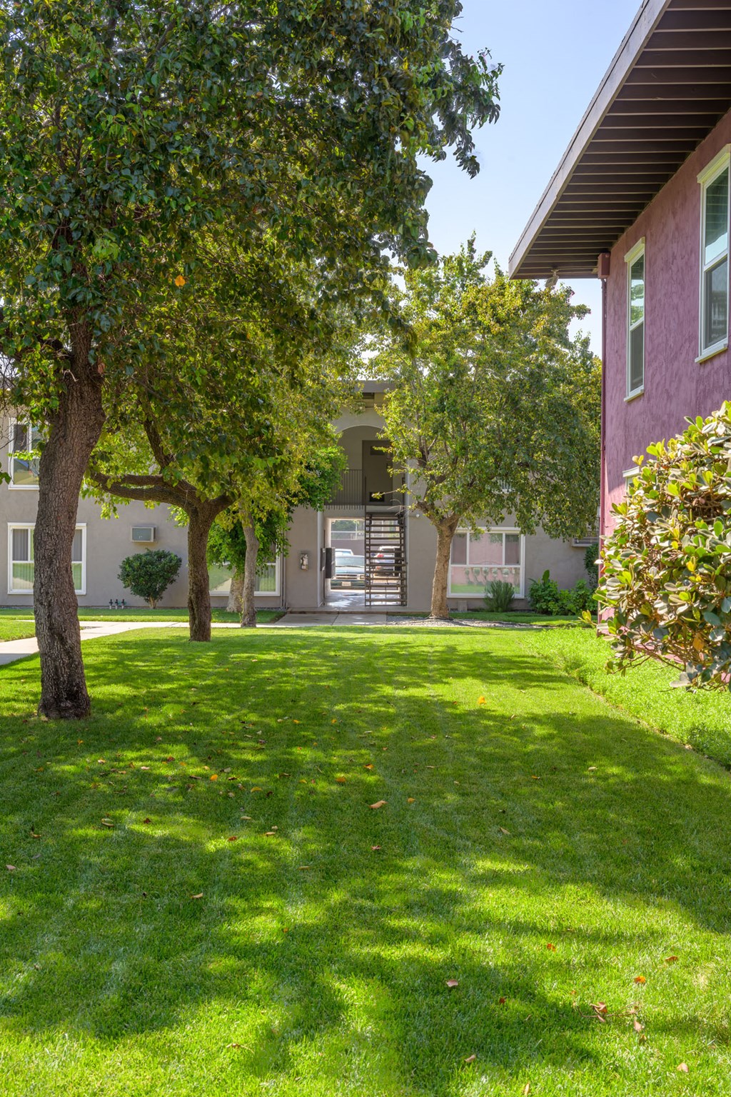 HADDON HACIENDA Grass in front of Pink Building