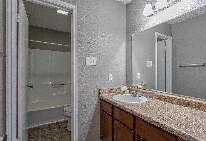 Hampton Court bathroom