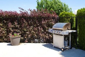 Englewood Garden Villas BBQ Grill Area Englewood Garden Villas BBQ Grill Area - Photo Gallery 6