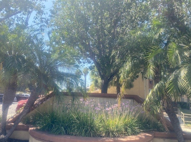 Irvine Inn landscape