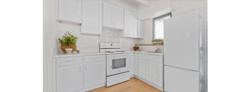 Kahakai Apartments Unit 20 kitchen