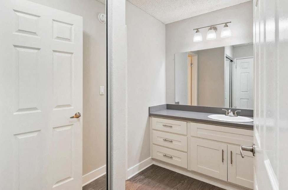 a bathroom with a sink and a mirror