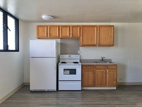 KapiolaniVillage_1Bed_744A