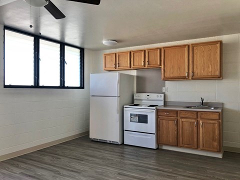 KapiolaniVillage_1Bed_744C