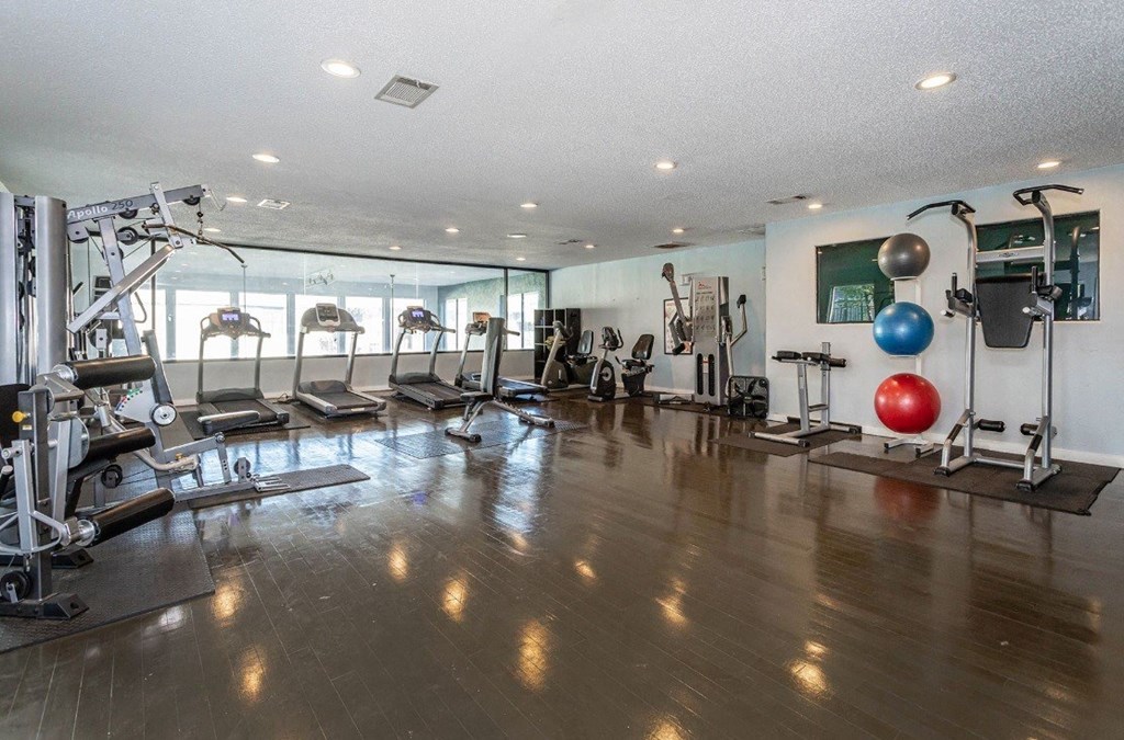 A gym with a variety of equipment including treadmills, weights, and exercise balls.