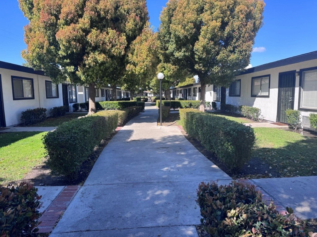 A pathway leads through a row of houses with green bushes on either side.