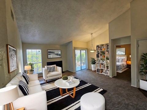 A living room with a white couch and a black and white rug.