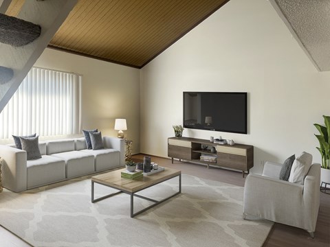 a living room with couches and a coffee table and a television