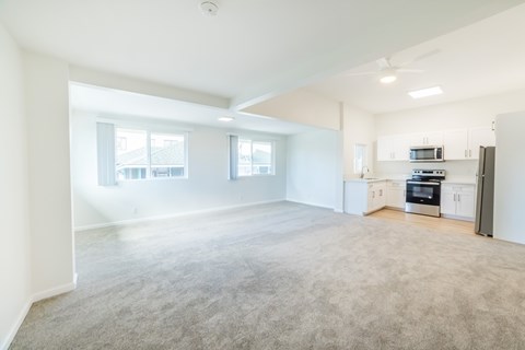 A spacious living room with a grey carpet and a kitchen area in the background.