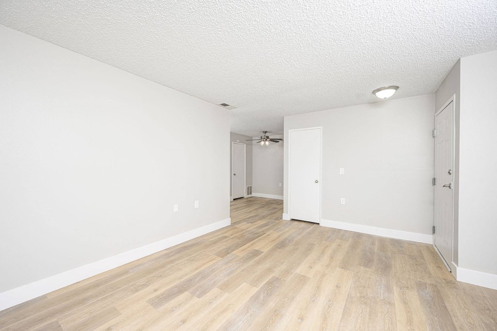 Mountain View living room