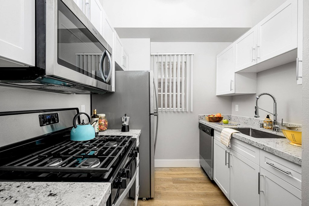 Mountain View galley kitchen 3