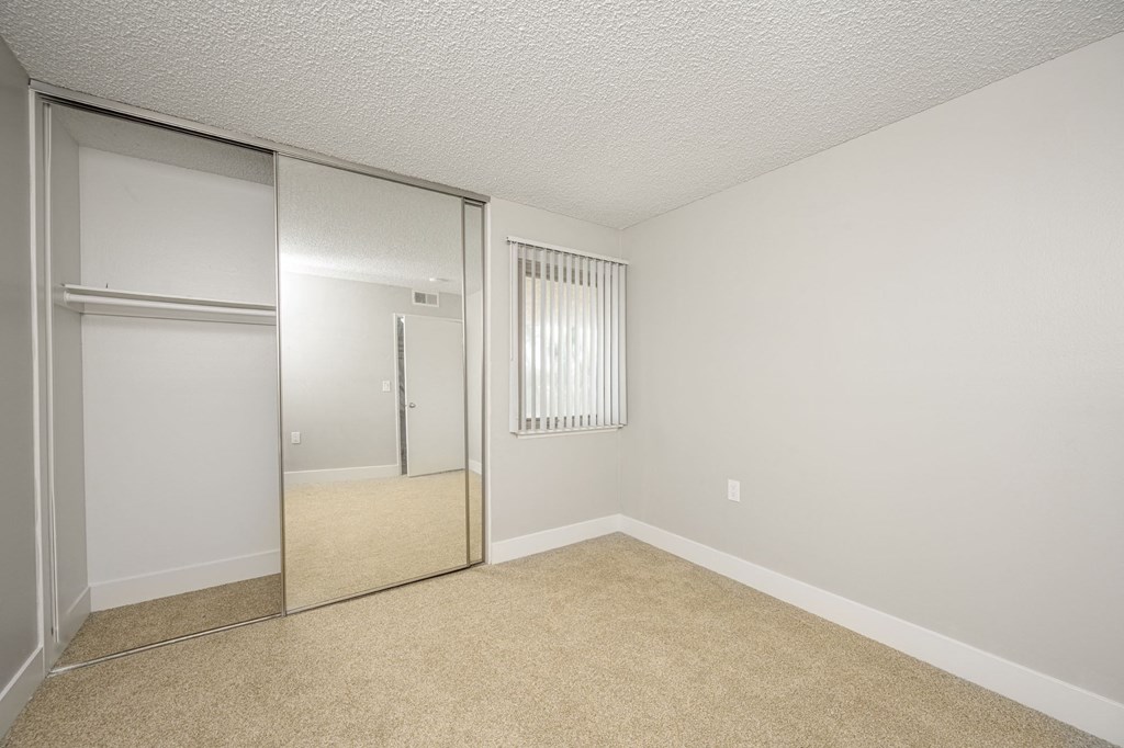 Mountain View Bedroom closet