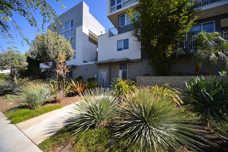 Mar Vista Lofts - Lush Landscaping