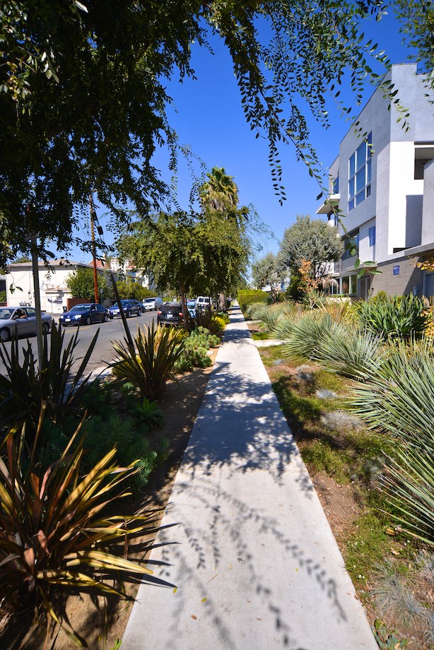 Mar Vista Lofts - Lush Landscaping