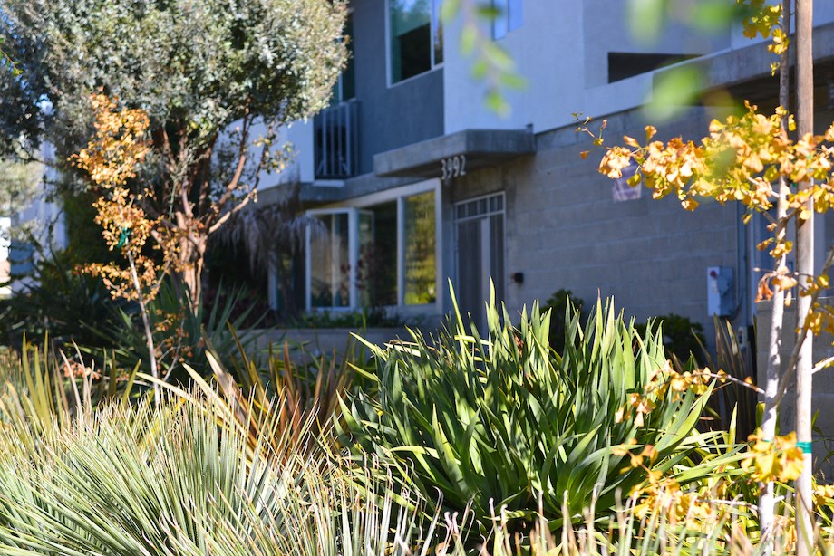 Mar Vista Lofts- Lush Landscaping