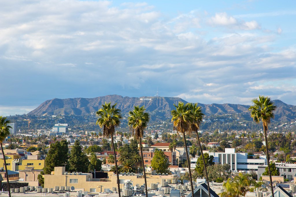Maya Apartments view of the Hollywood Hills