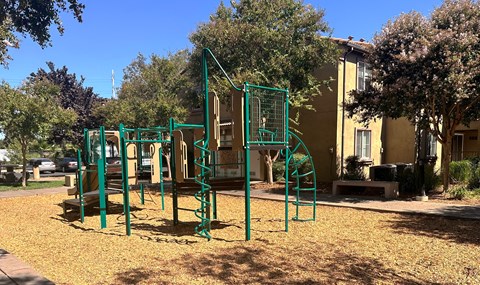 a playground in a park in front of a building