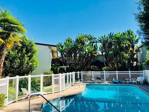 Pacific Heights Pool Exterior