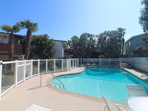 Pacific Heights Pool Photo