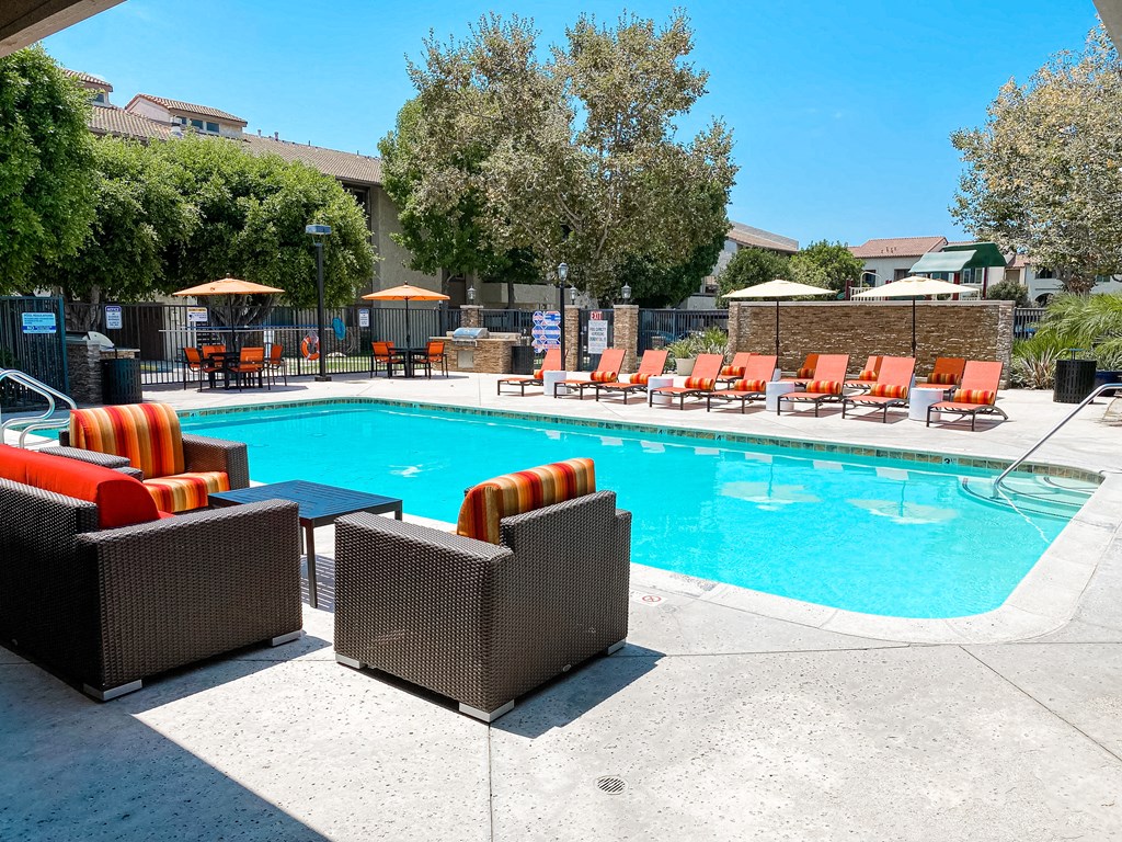 Mountain View Pool and Lounge Area