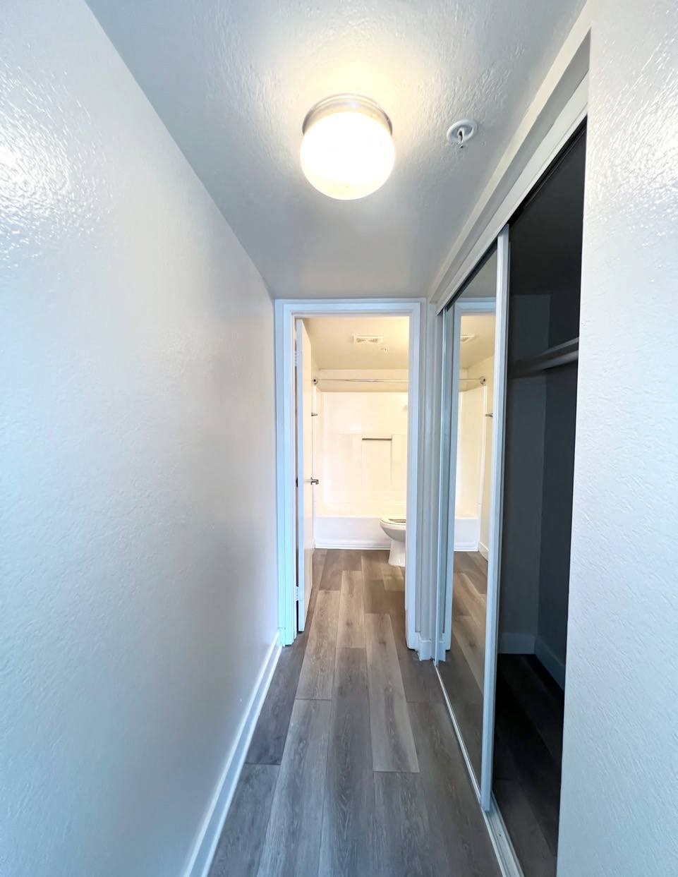 Park Tower mirrored closets