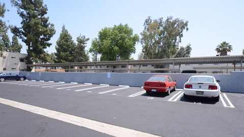 20830 Vintage Apartments parking lot area