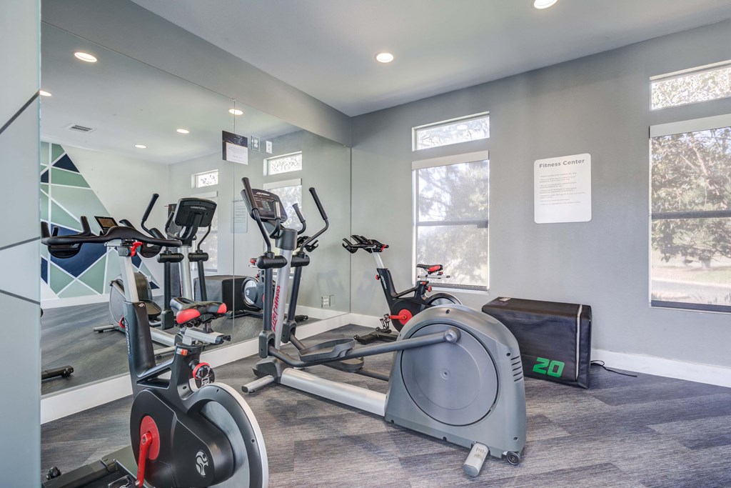 A gym with a row of exercise bikes and a treadmill.