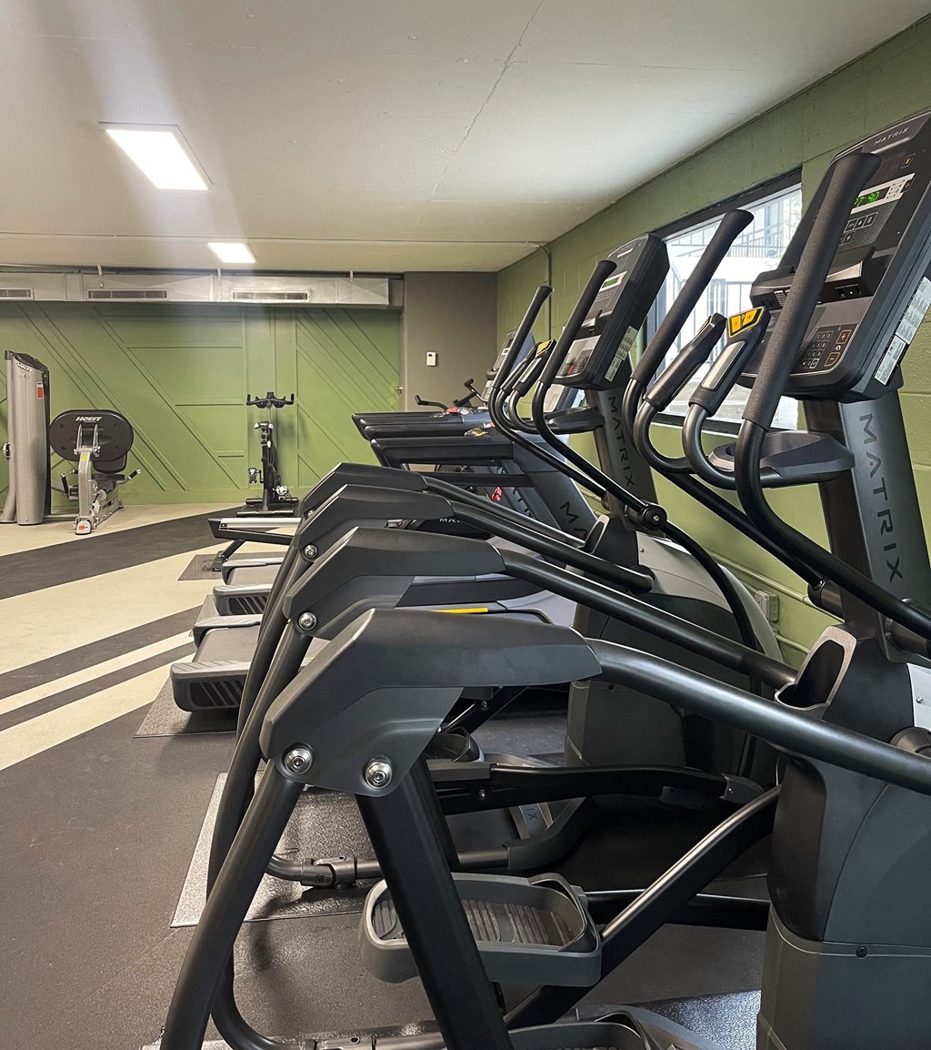 Plaza at Canoga Park Gym Equipment II