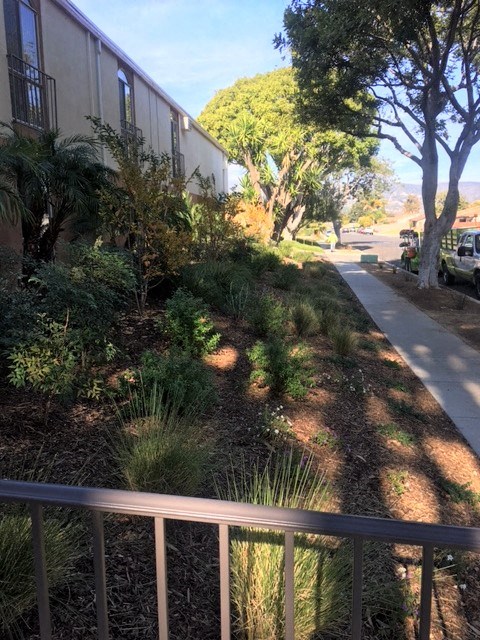 Ponderosa Apartments Exterior Front Sidewalk and Landscaping