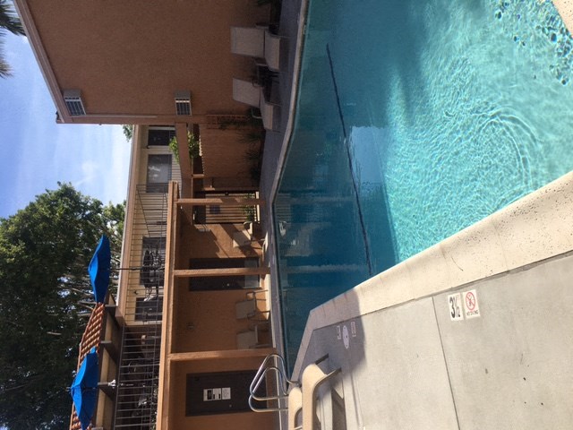 Ponderosa Apartments Pool Area