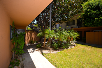 Ponderosa Apartments exterior pathway and lawn