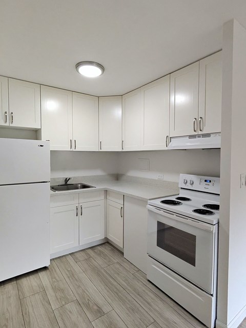 Punahou Circle kitchen with a stove and sink.