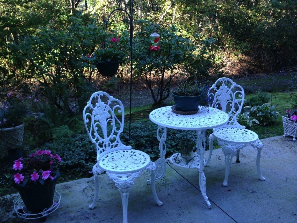 Riverside Landing Back Patio