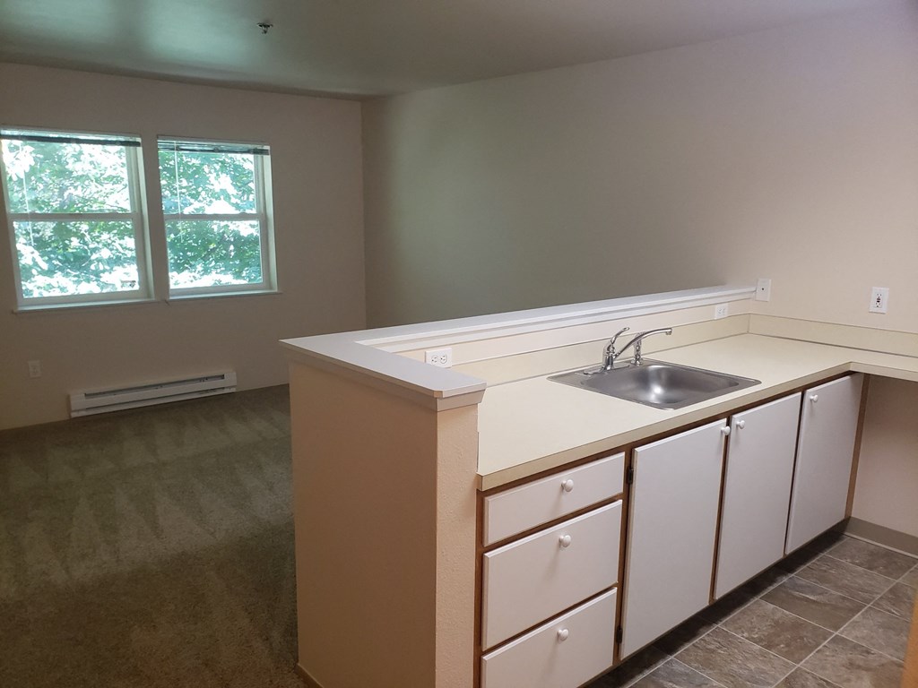 Riverside Landing Kitchen counter and living room