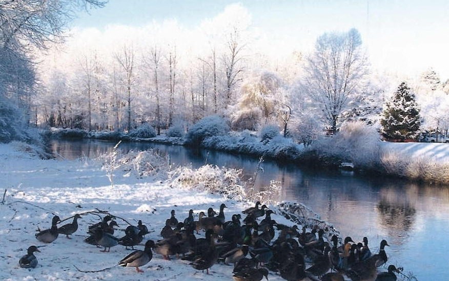 Riverside Landing River