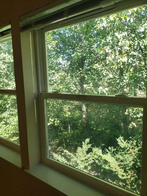 Riverside Landing window with nature view