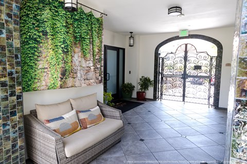 A living room with a couch, a plant, and a door.