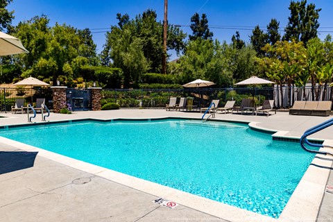 Horizons at Calabasas swimming pool surrounded by trees and lounge chairs.
