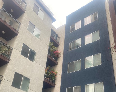 the view of our apartment building from the street