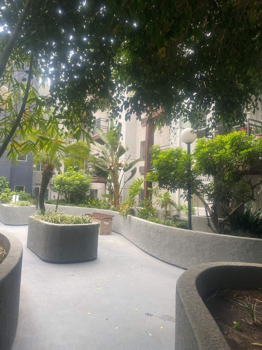 San Lucas Apartments landscape